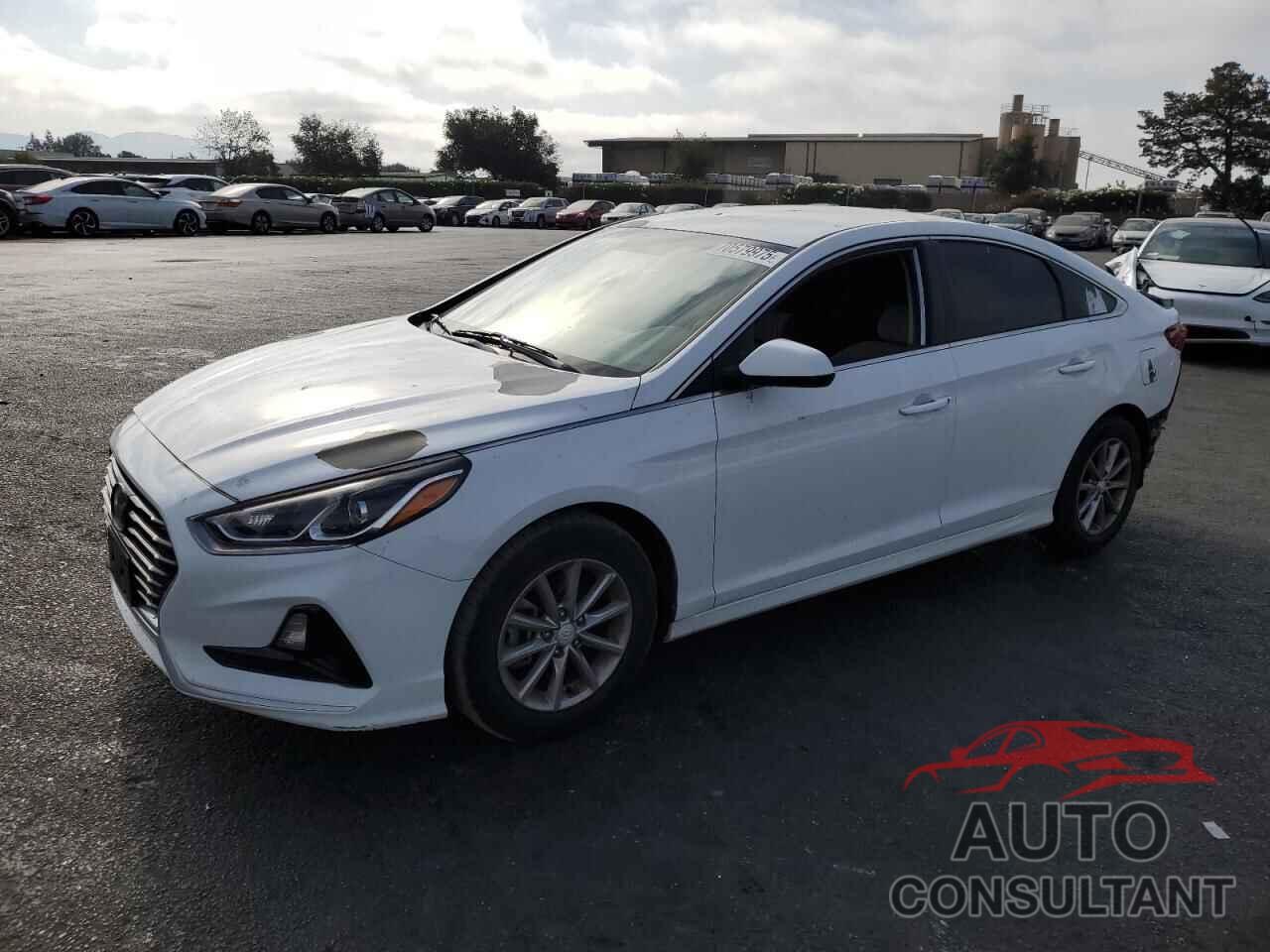 HYUNDAI SONATA 2019 - 5NPE24AF0KH762714