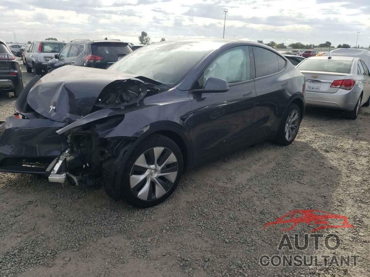 TESLA MODEL Y 2023 - 7SAYGDEE8PF816835