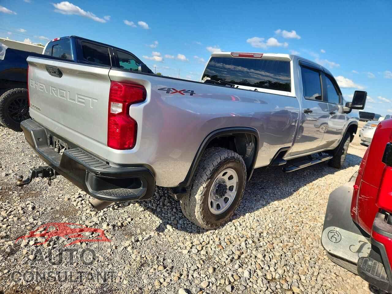 CHEVROLET SILVERADO 2020 - 1GC1YLE76LF294056