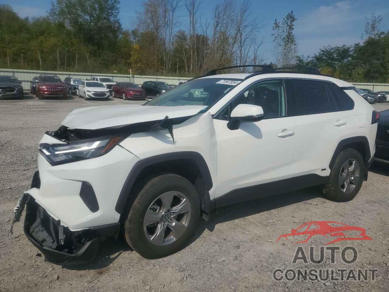 TOYOTA RAV4 2024 - 2T3RWRFV8RW202834