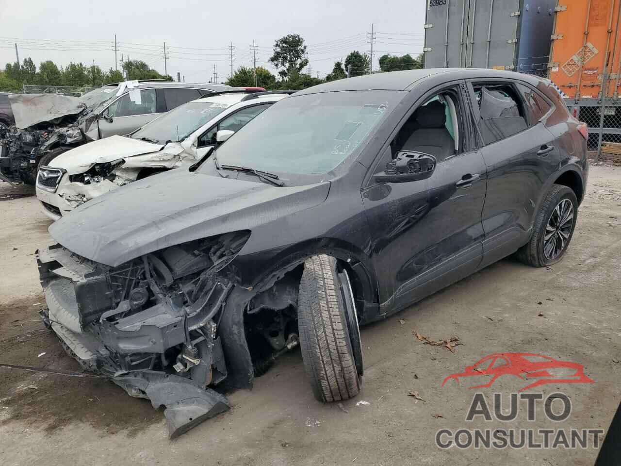 FORD ESCAPE 2022 - 1FMCU0G68NUB37677