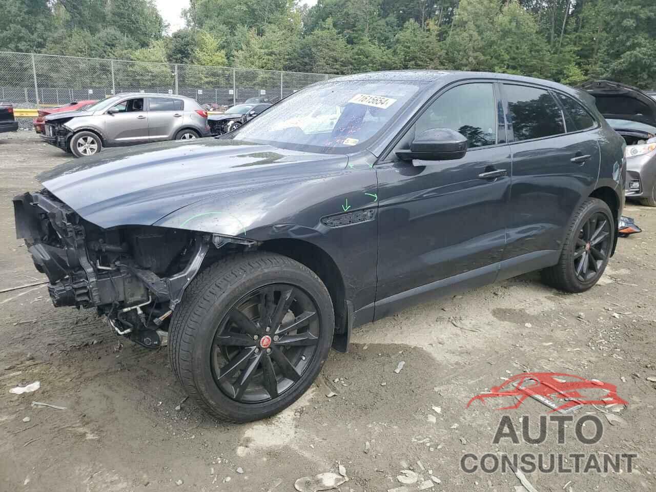 JAGUAR F-PACE 2019 - SADCK2FX6KA610879