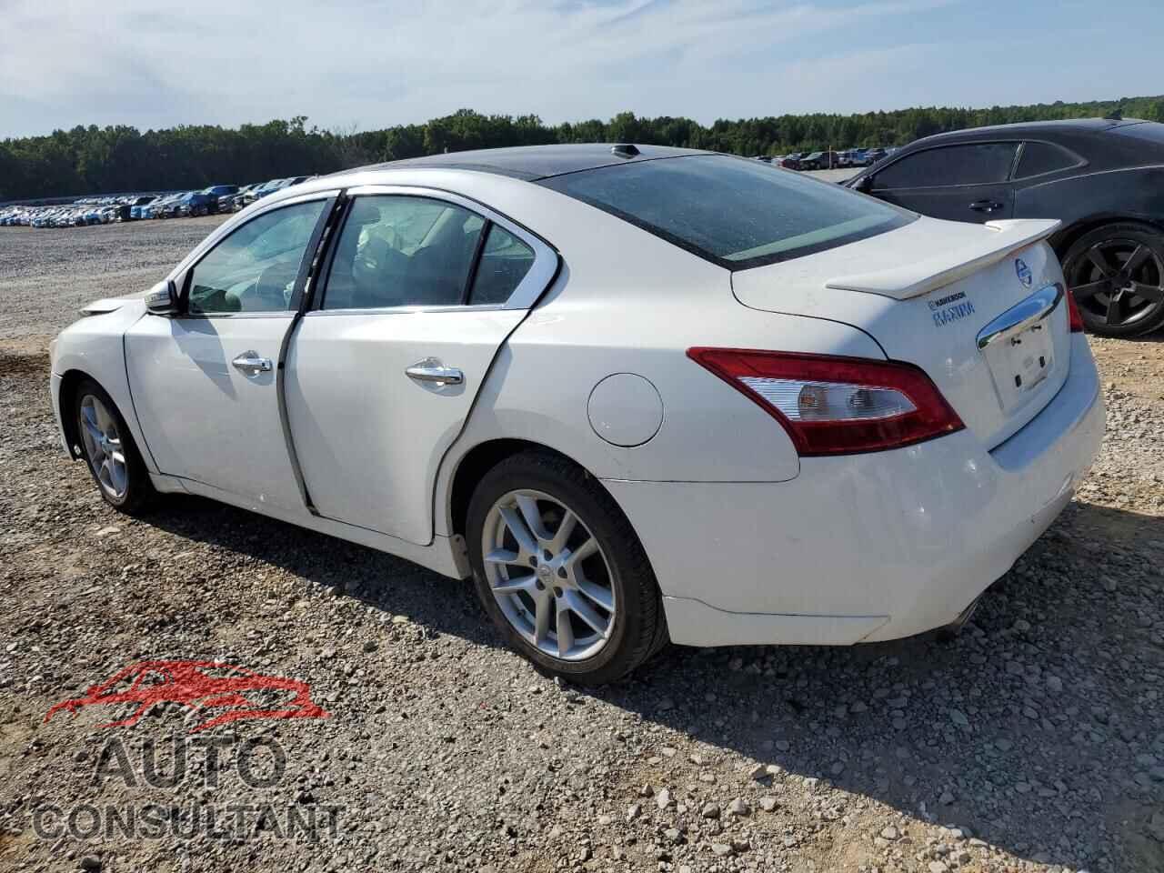 NISSAN MAXIMA 2011 - 1N4AA5AP7BC841296