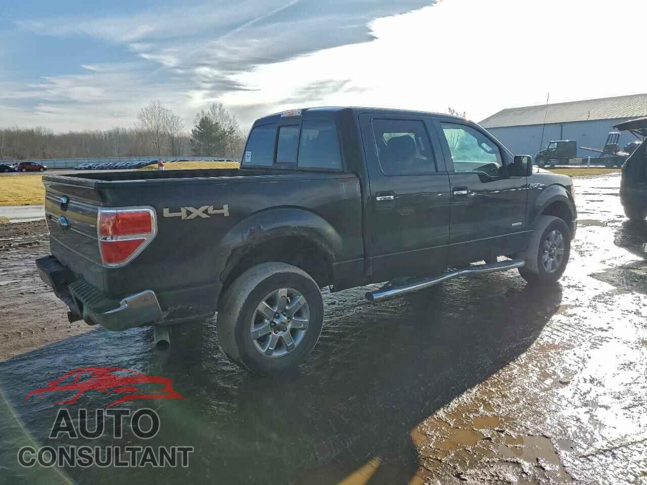 FORD F-150 2013 - 1FTFW1ET0DKD04442
