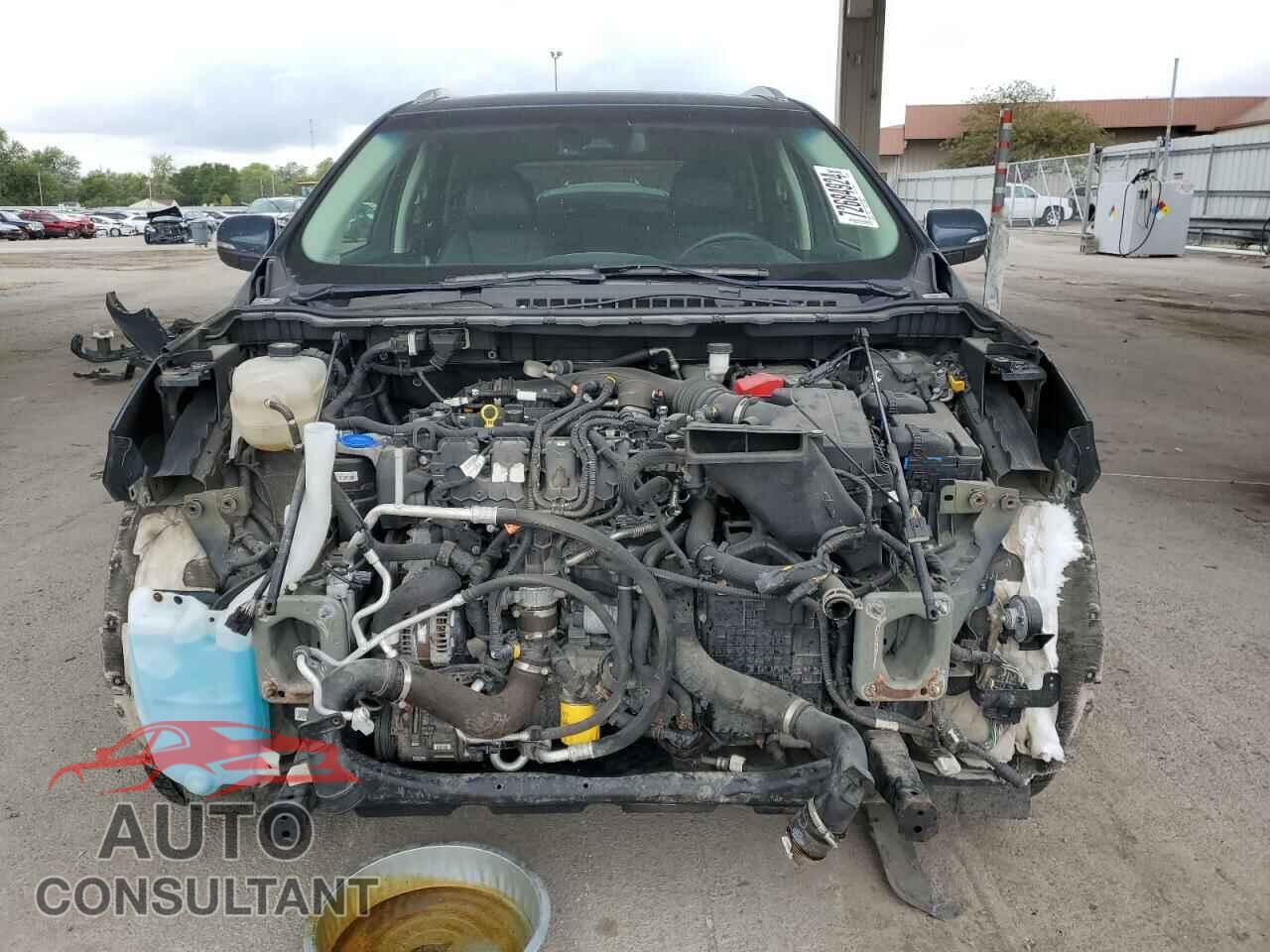 FORD EDGE 2019 - 2FMPK4K97KBC64518