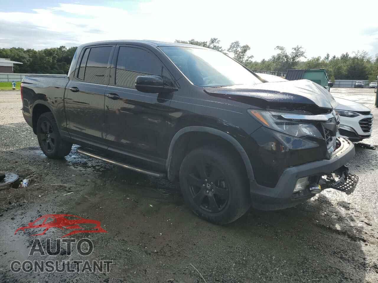HONDA RIDGELINE 2019 - 5FPYK3F81KB030874