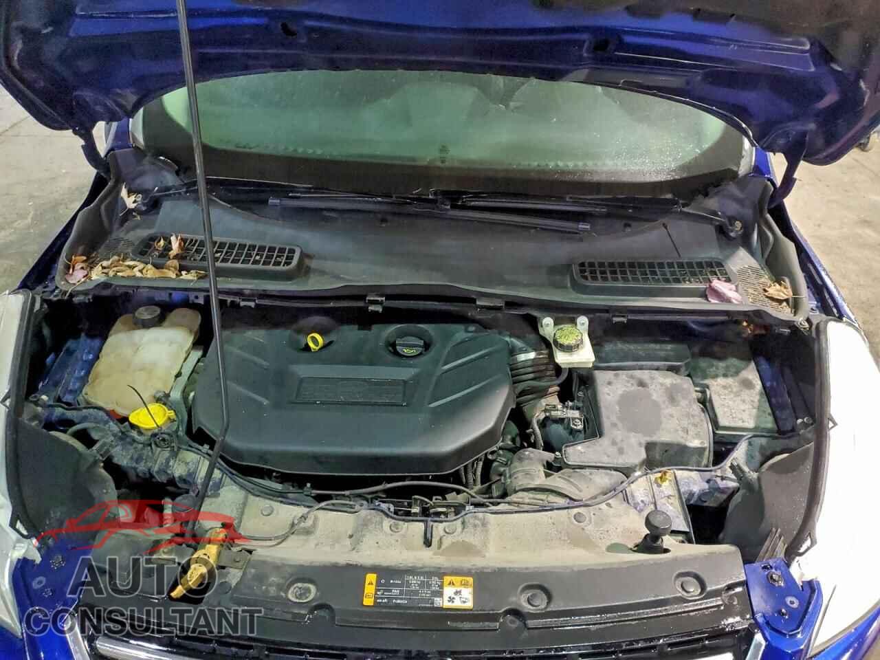 FORD ESCAPE 2013 - 1FMCU0H95DUB22450