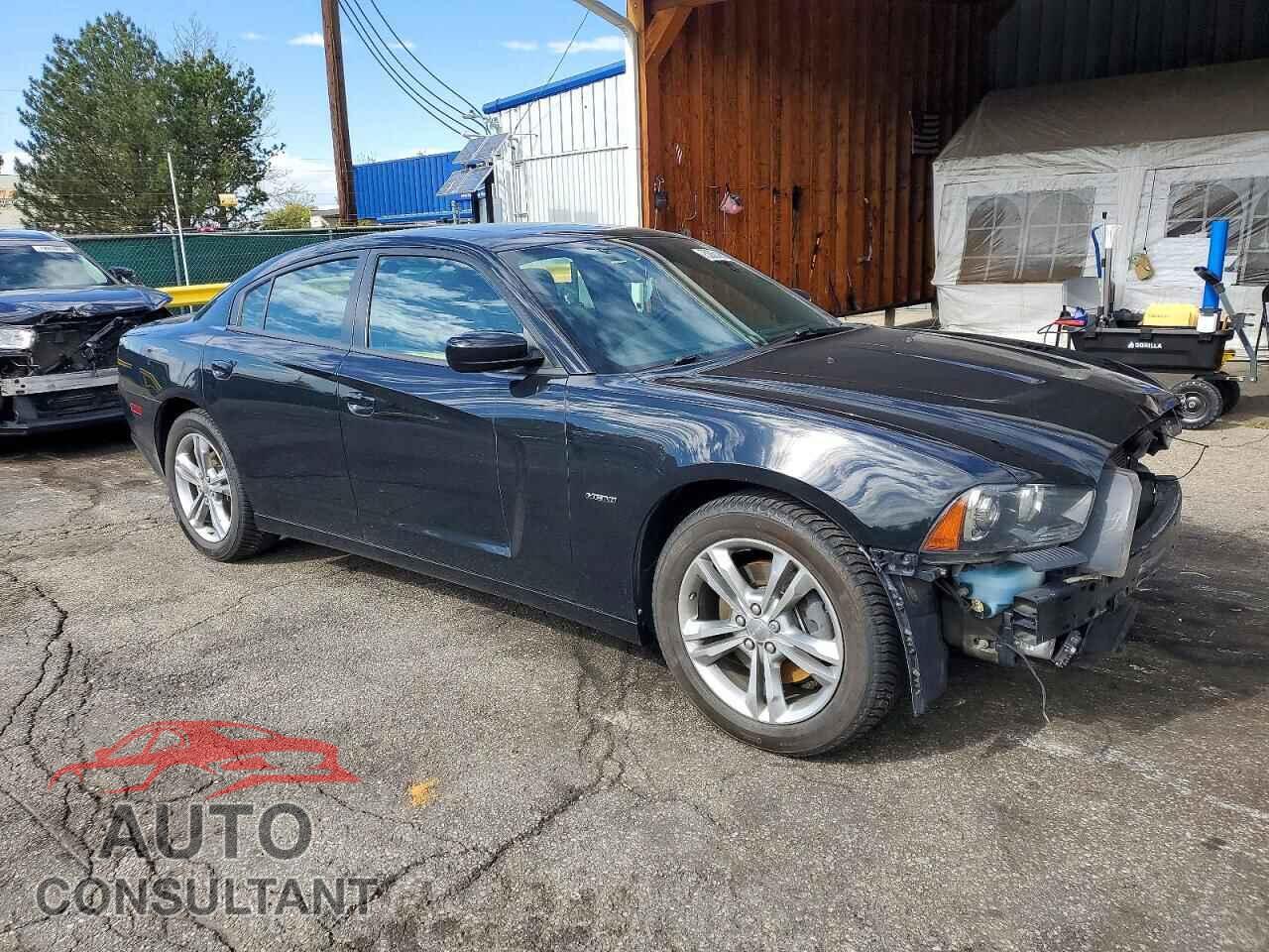 DODGE CHARGER 2014 - 2C3CDXDT5EH372181