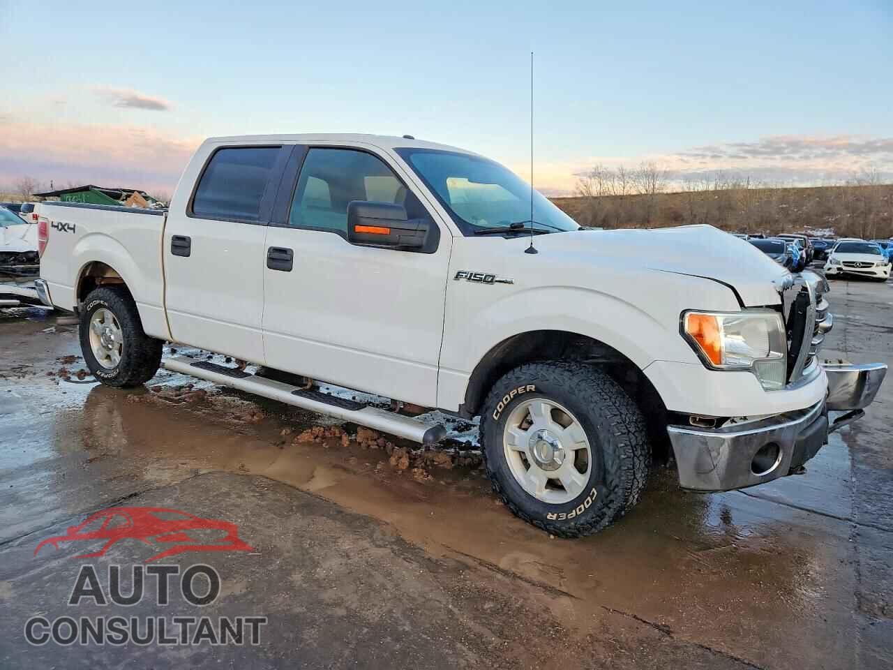 FORD F-150 2013 - 1FTFW1EF5DFD04360