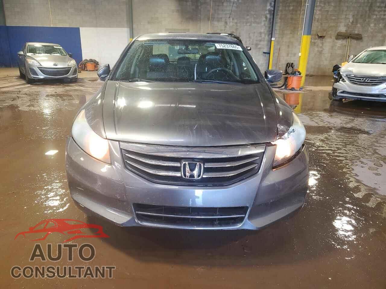 HONDA ACCORD 2011 - 1HGCP2F61BA149211
