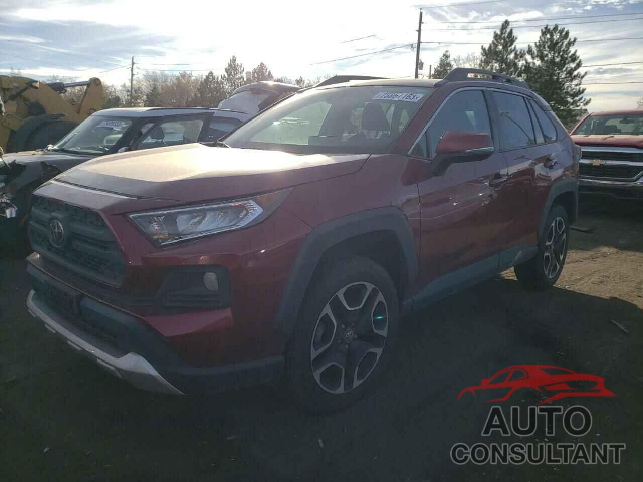 TOYOTA RAV4 2019 - 2T3J1RFV5KW002981
