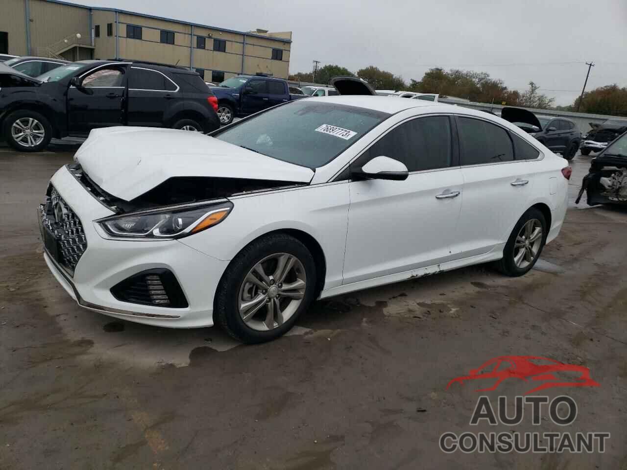 HYUNDAI SONATA 2019 - 5NPE34AF4KH808798