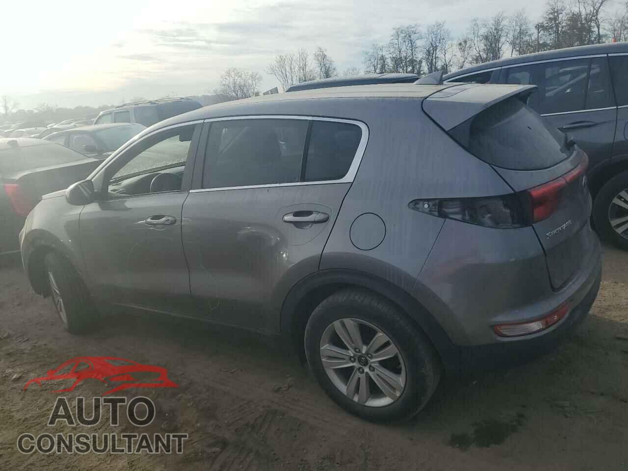 KIA SPORTAGE 2017 - KNDPMCAC5H7228043