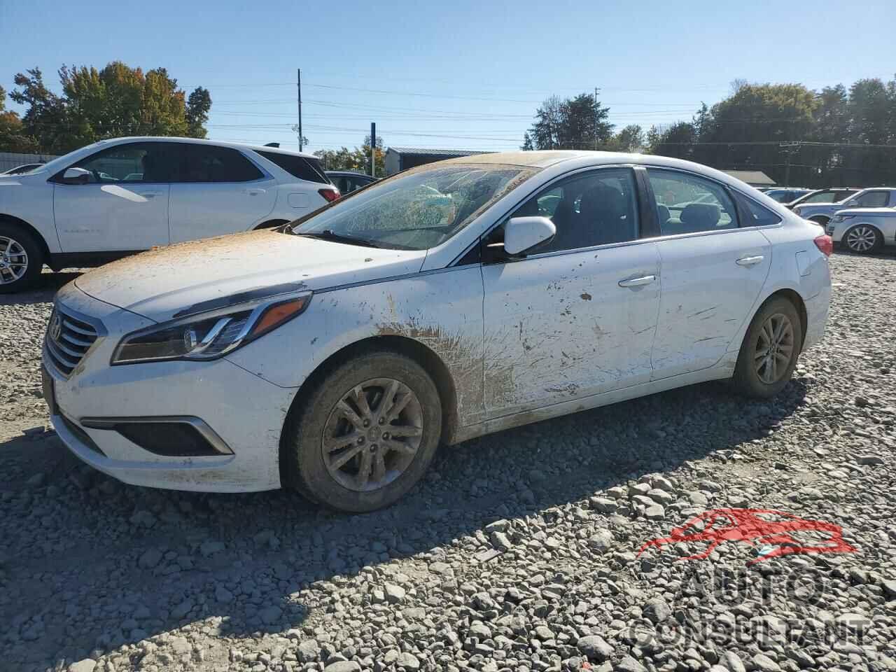 HYUNDAI SONATA 2016 - 5NPE24AF4GH364218