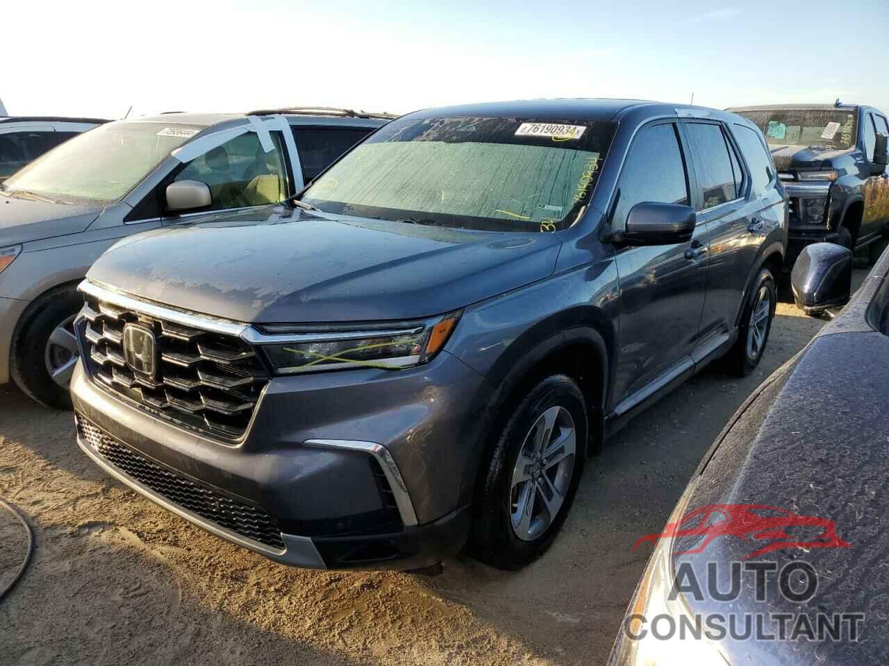 HONDA PILOT 2024 - 5FNYG2H41RB005658