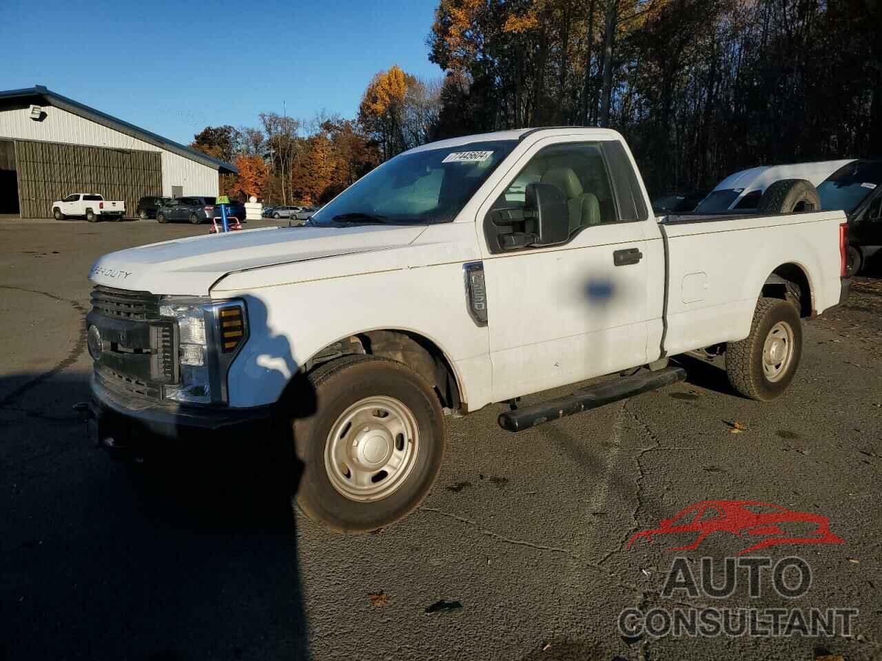FORD F250 2019 - 1FTBF2A66KEE87121