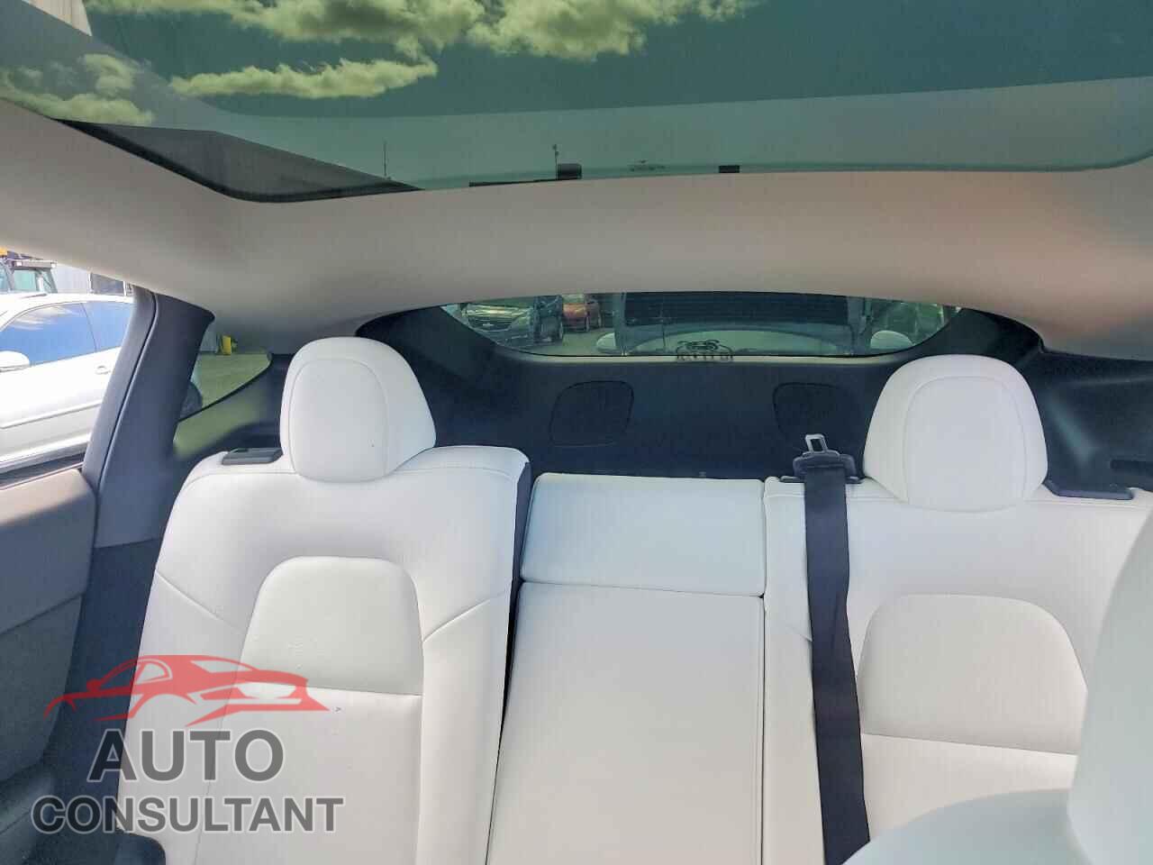 TESLA MODEL Y 2023 - 7SAYGDEE2PF683764