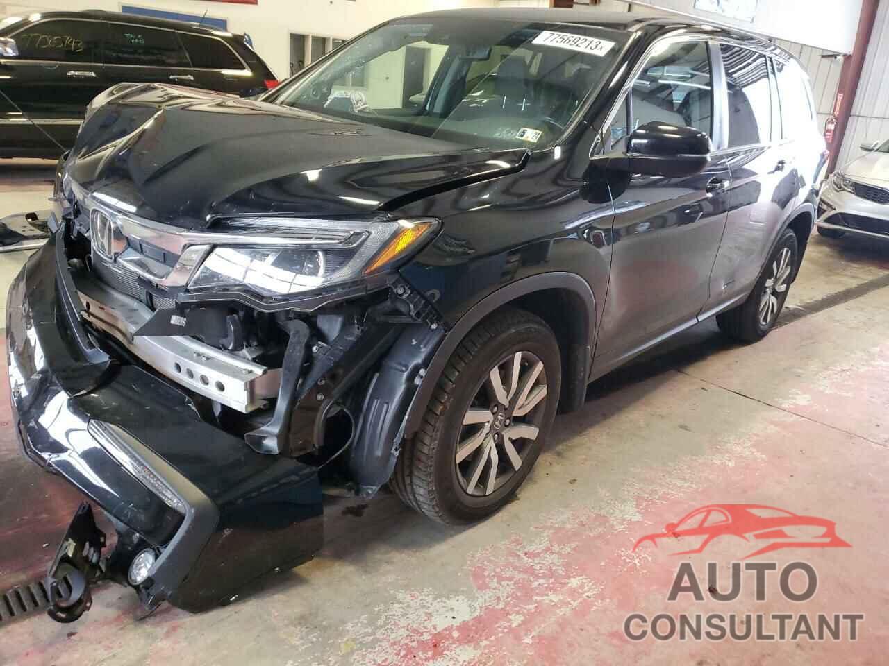 HONDA PILOT 2019 - 5FNYF6H5XKB075541