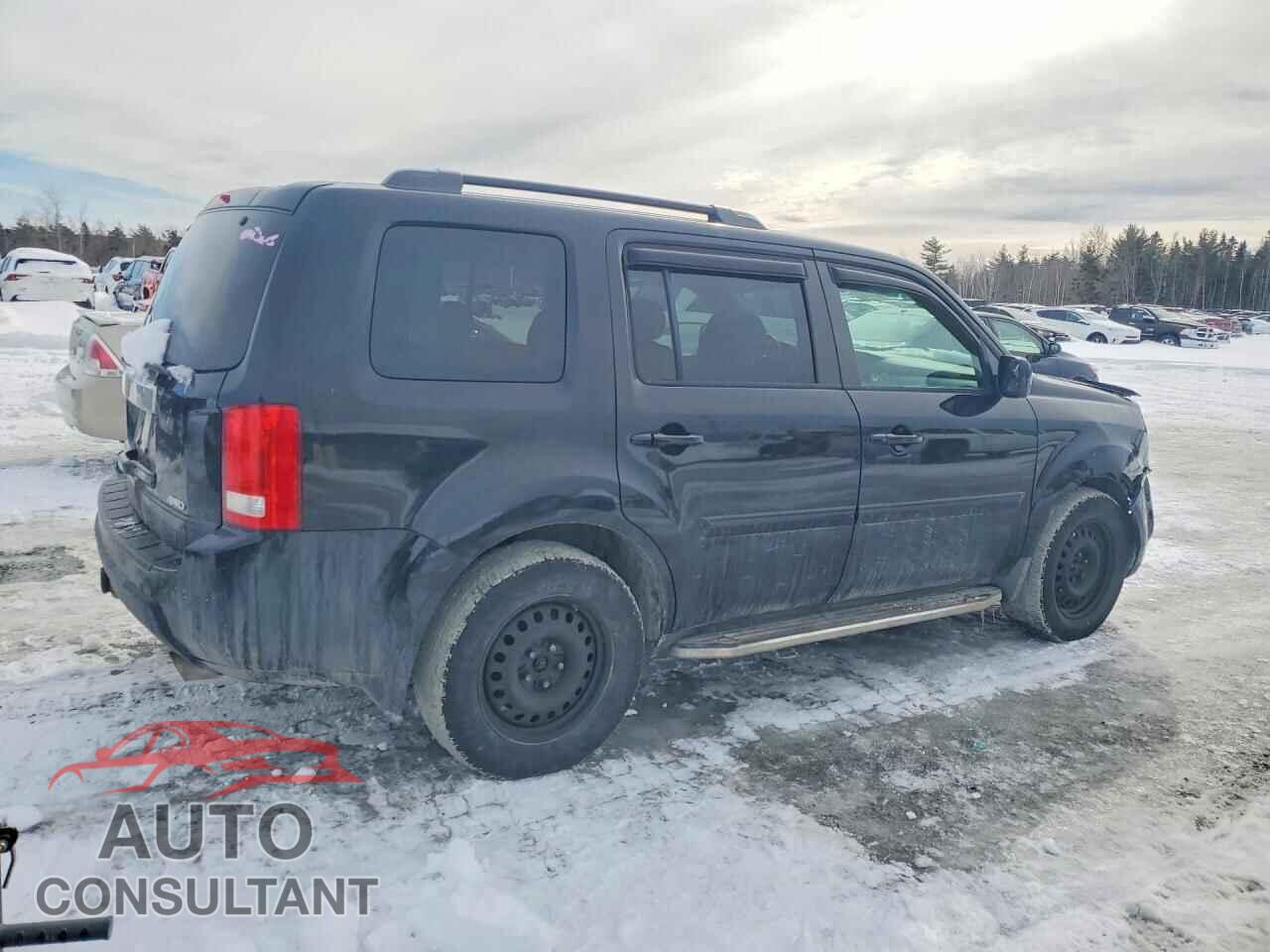 HONDA PILOT 2010 - 5FNYF4H41AB502700