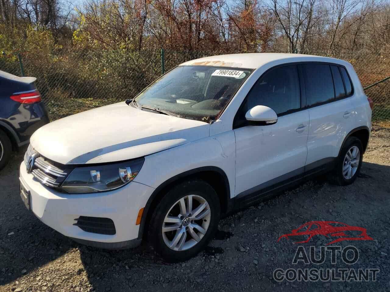 VOLKSWAGEN TIGUAN 2013 - WVGBV3AX8DW567997