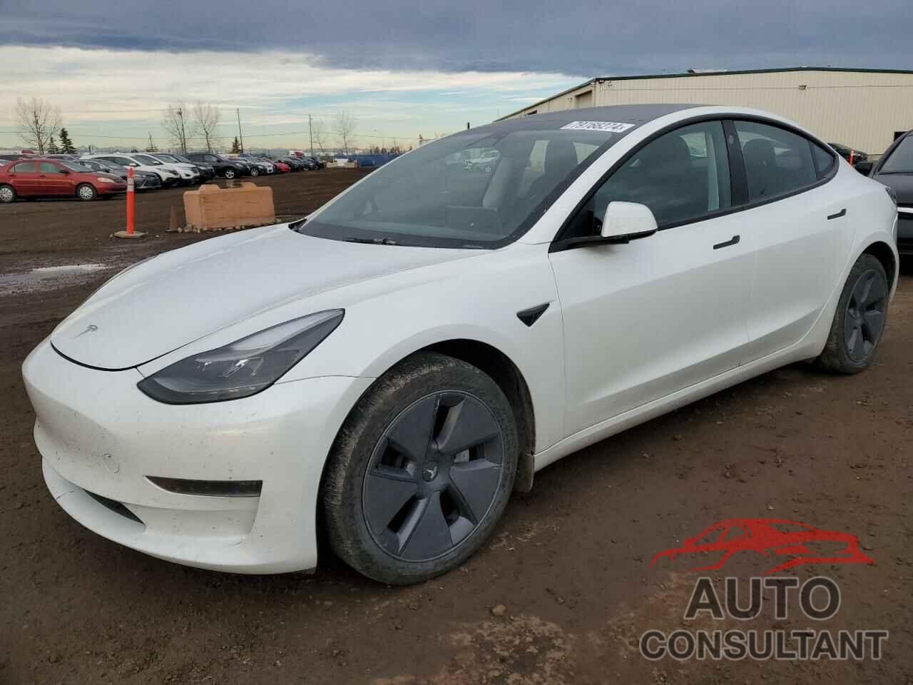 TESLA MODEL 3 2023 - 5YJ3E1EA5PF484801