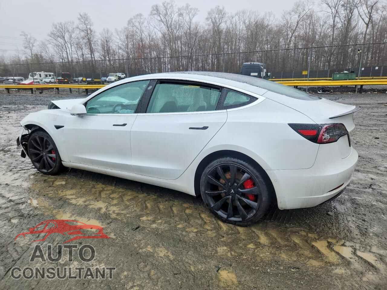 TESLA MODEL 3 2020 - 5YJ3E1EC8LF719266
