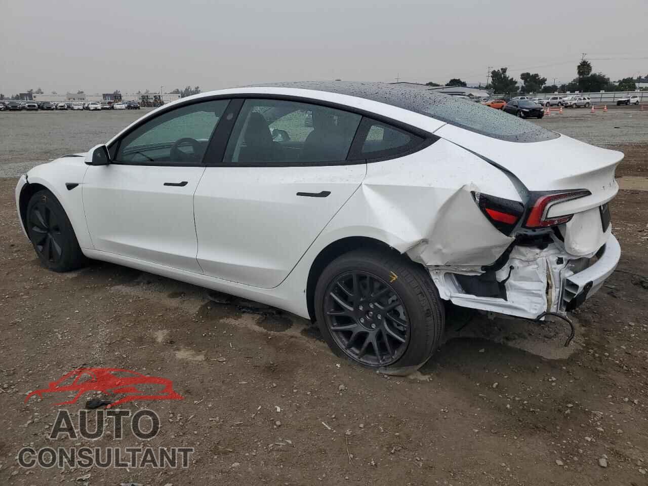 TESLA MODEL 3 2025 - 5YJ3E1EA7SF028730