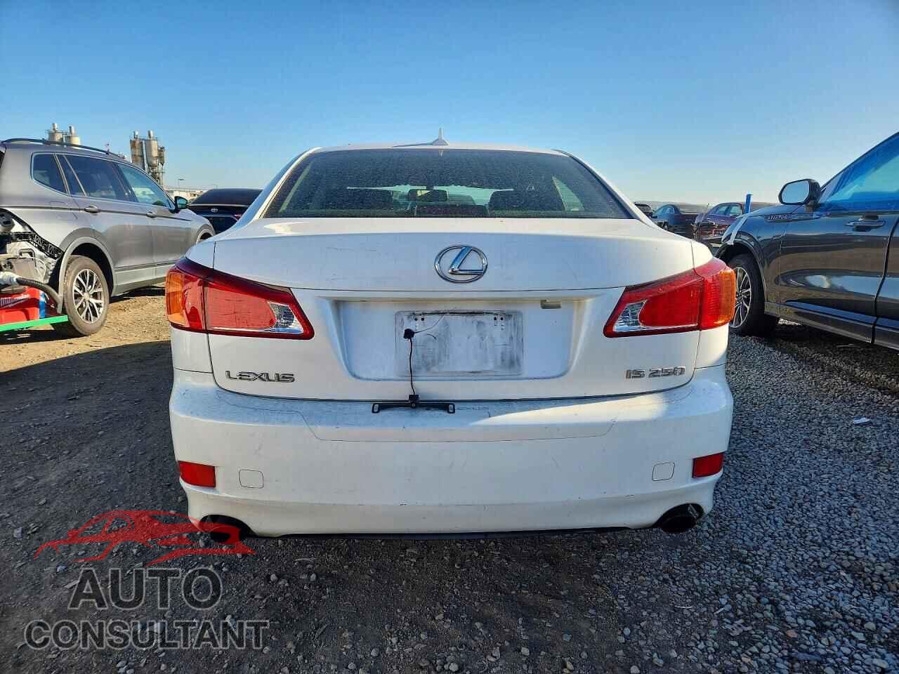 LEXUS IS 2009 - JTHBK262195087882