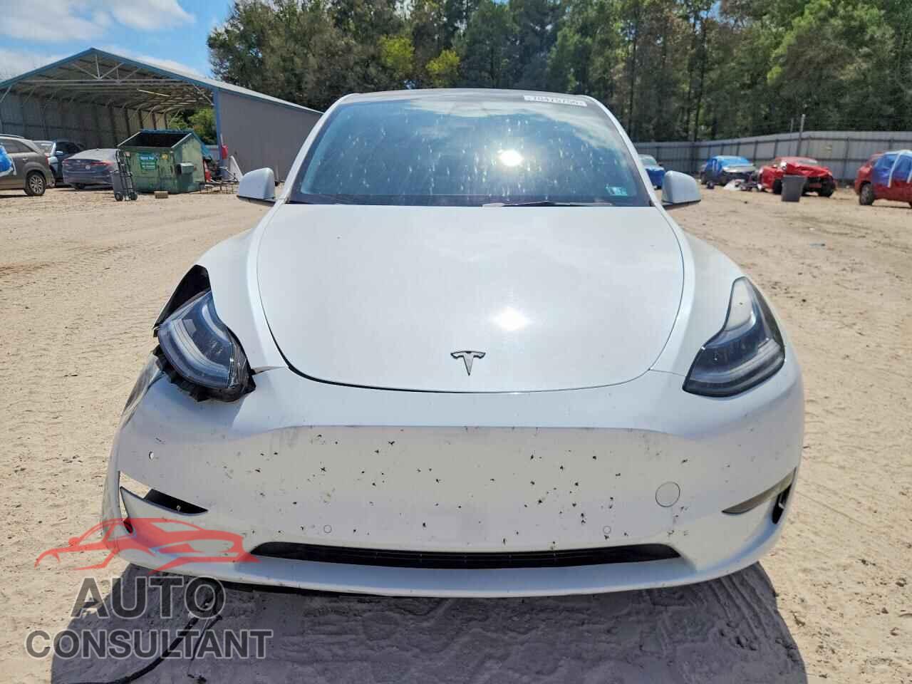 TESLA MODEL Y 2022 - 7SAYGDEF7NF319474