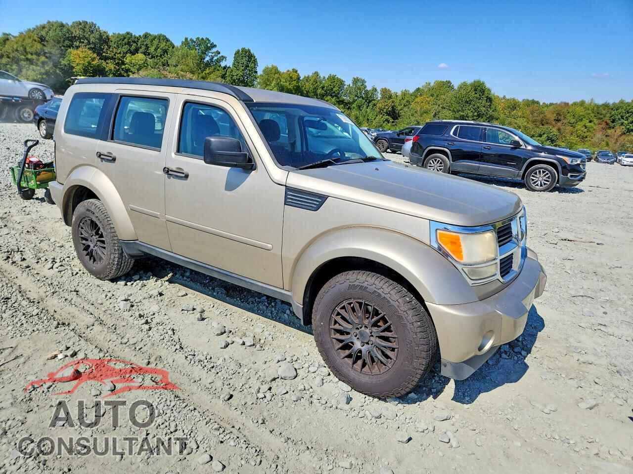 DODGE NITRO 2010 - 1D4PT2GK0AW105096