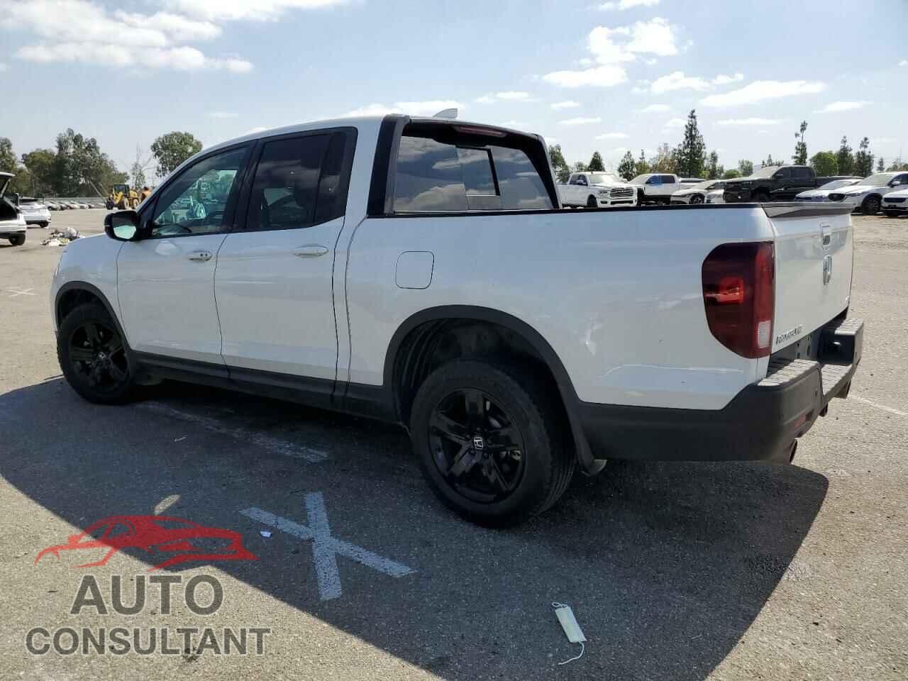 HONDA RIDGELINE 2021 - 5FPYK3F86MB013099