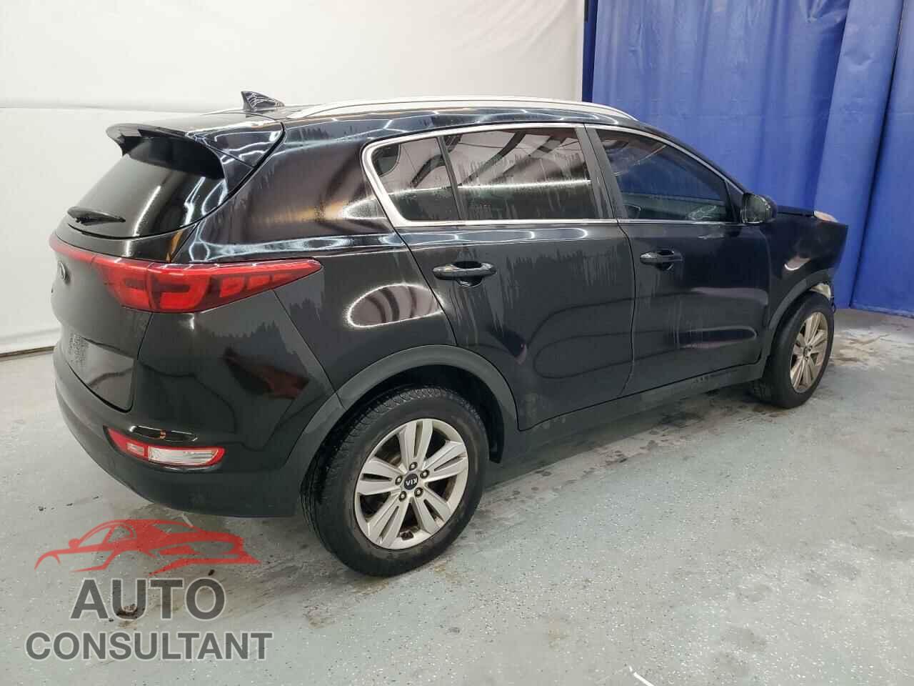KIA SPORTAGE 2017 - KNDPM3ACXH7204305