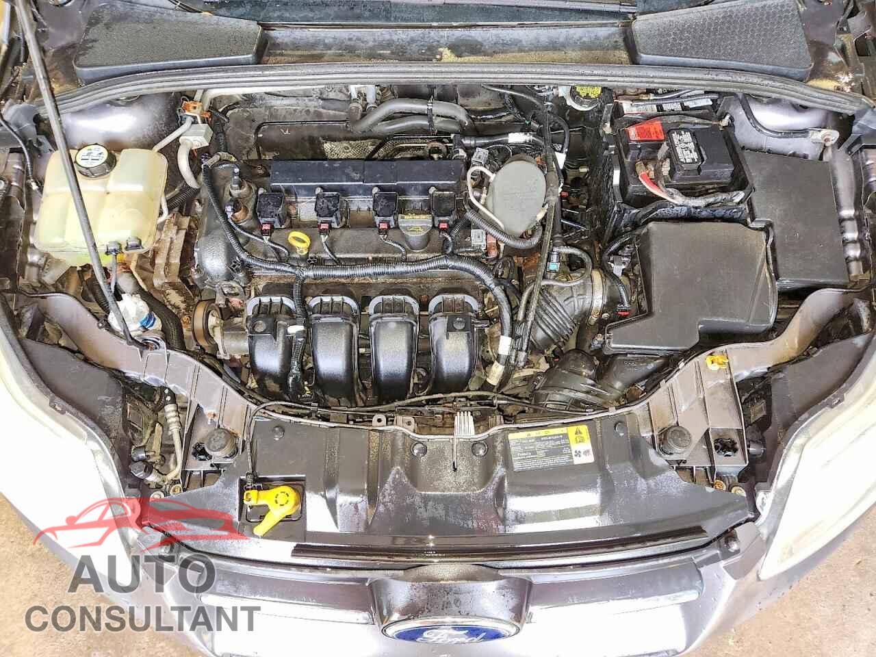 FORD FOCUS 2013 - 1FADP3F22DL317036