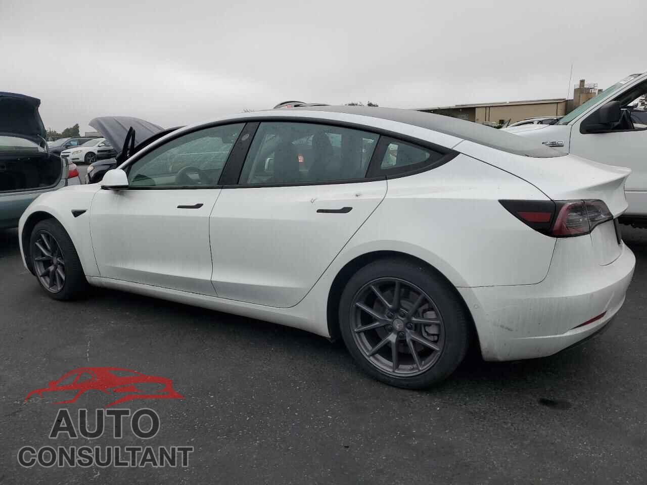 TESLA MODEL 3 2021 - 5YJ3E1EA2MF067003