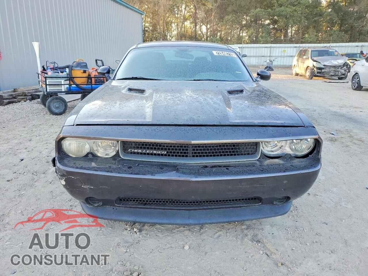 DODGE CHALLENGER 2013 - 2C3CDYAG1DH645886