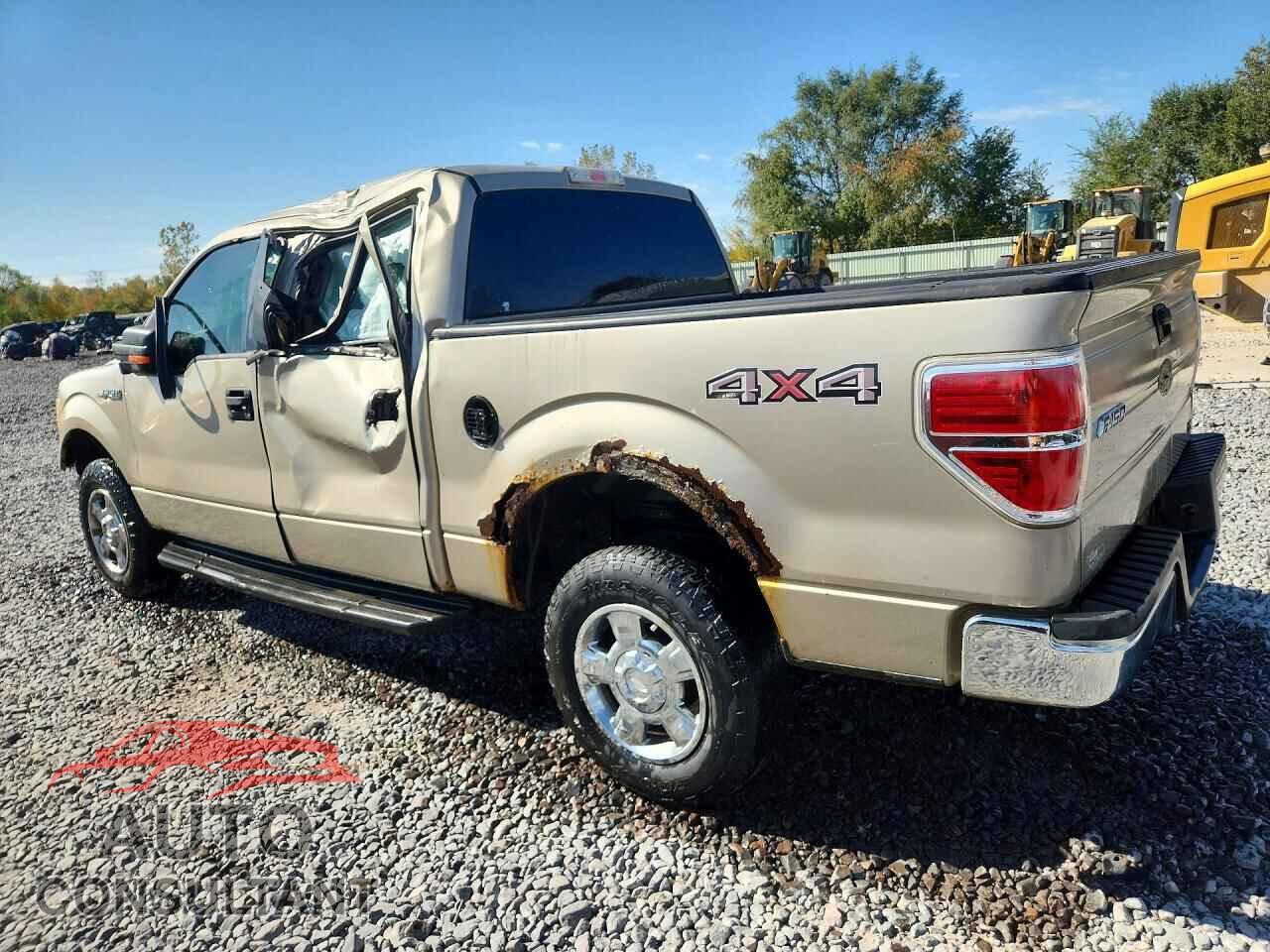 FORD F150 2010 - 1FTFW1EV3AKE10963