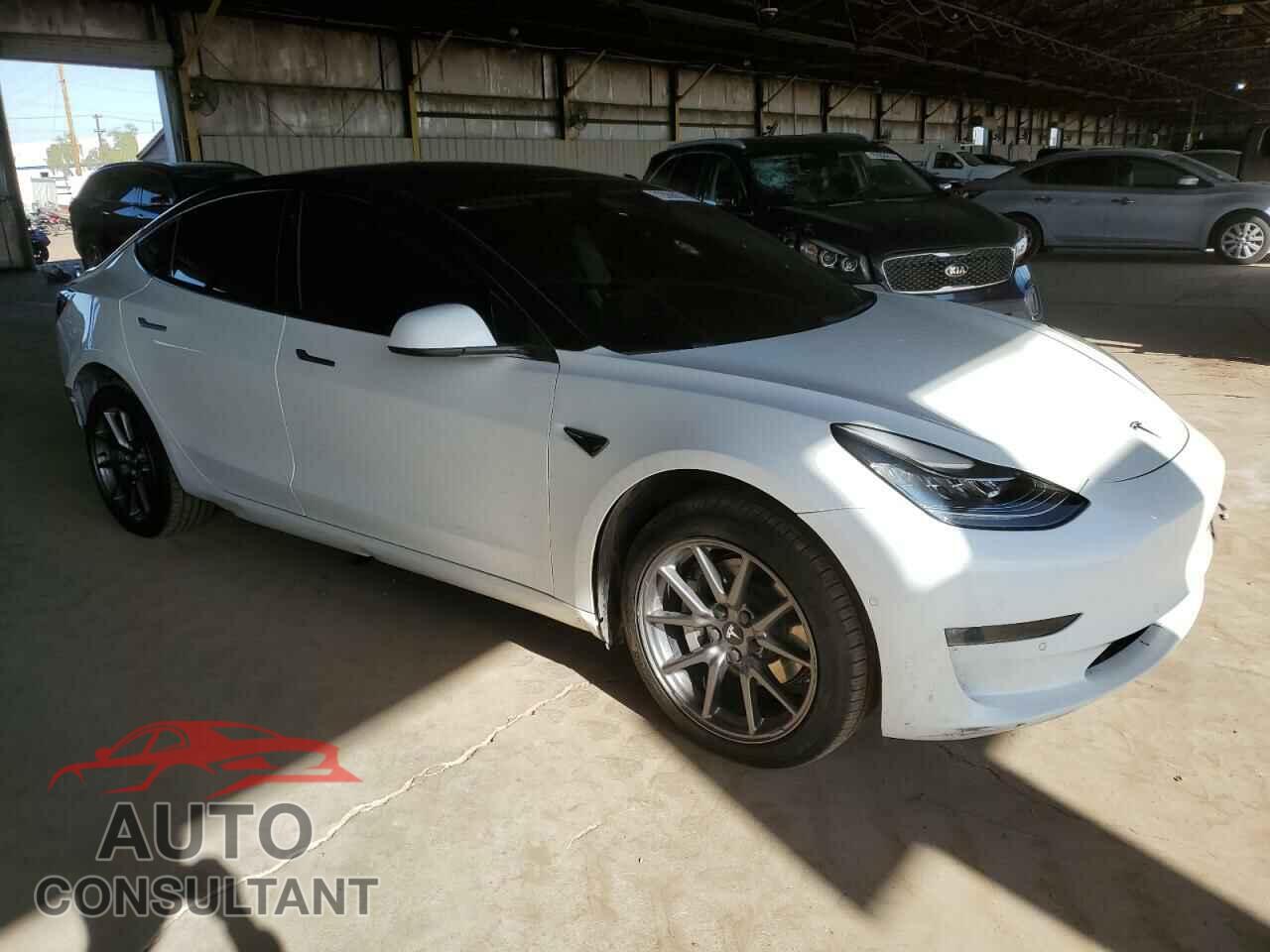 TESLA MODEL 3 2019 - 5YJ3E1EA3KF397178