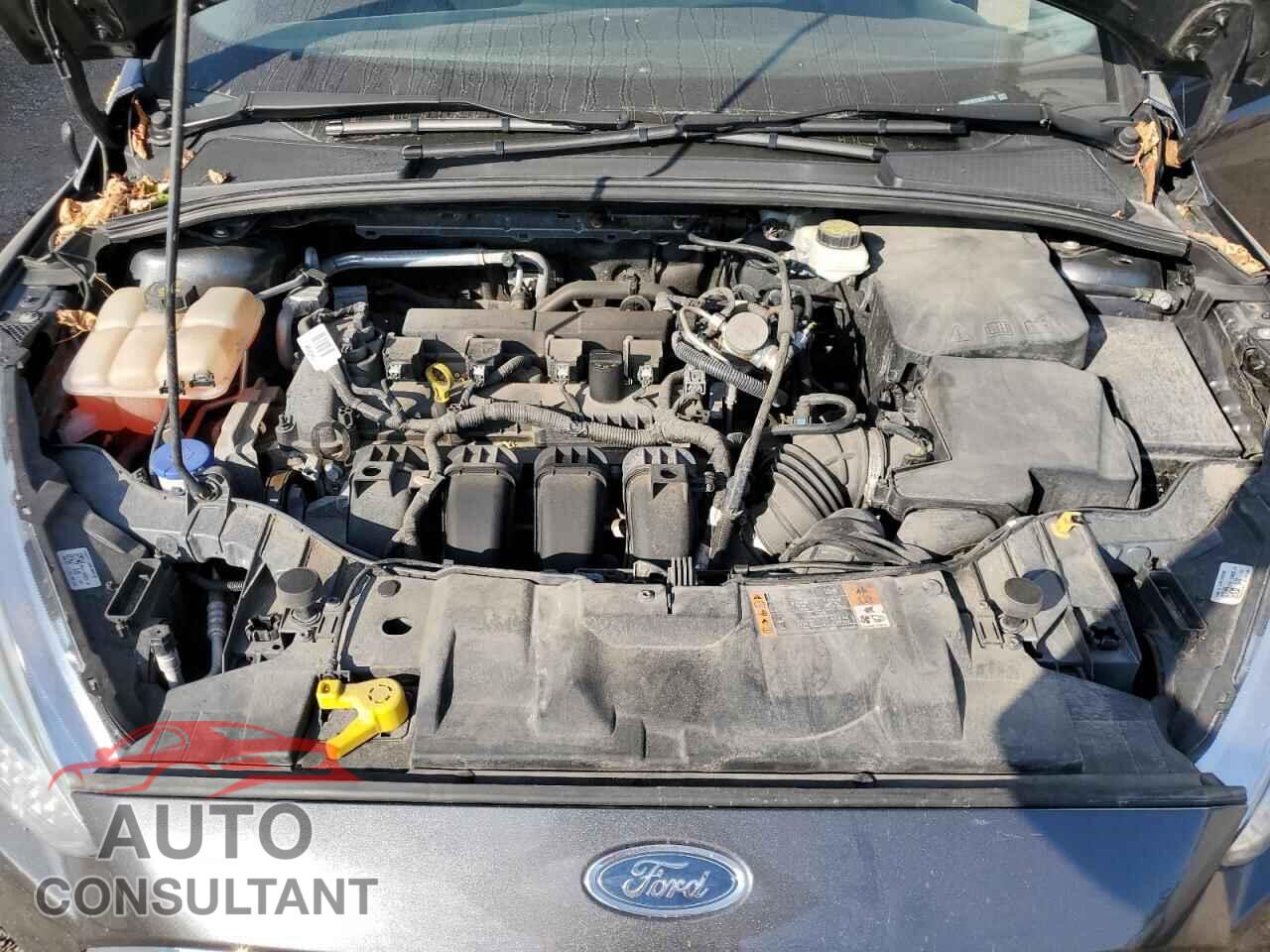 FORD FOCUS 2017 - 1FADP3F22HL261265