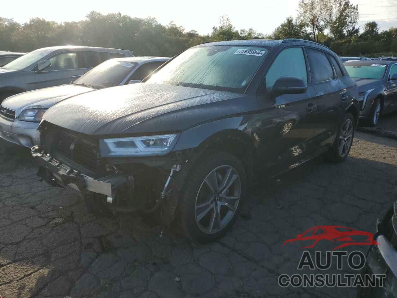 AUDI Q5 2019 - WA1CNAFY7K2090119