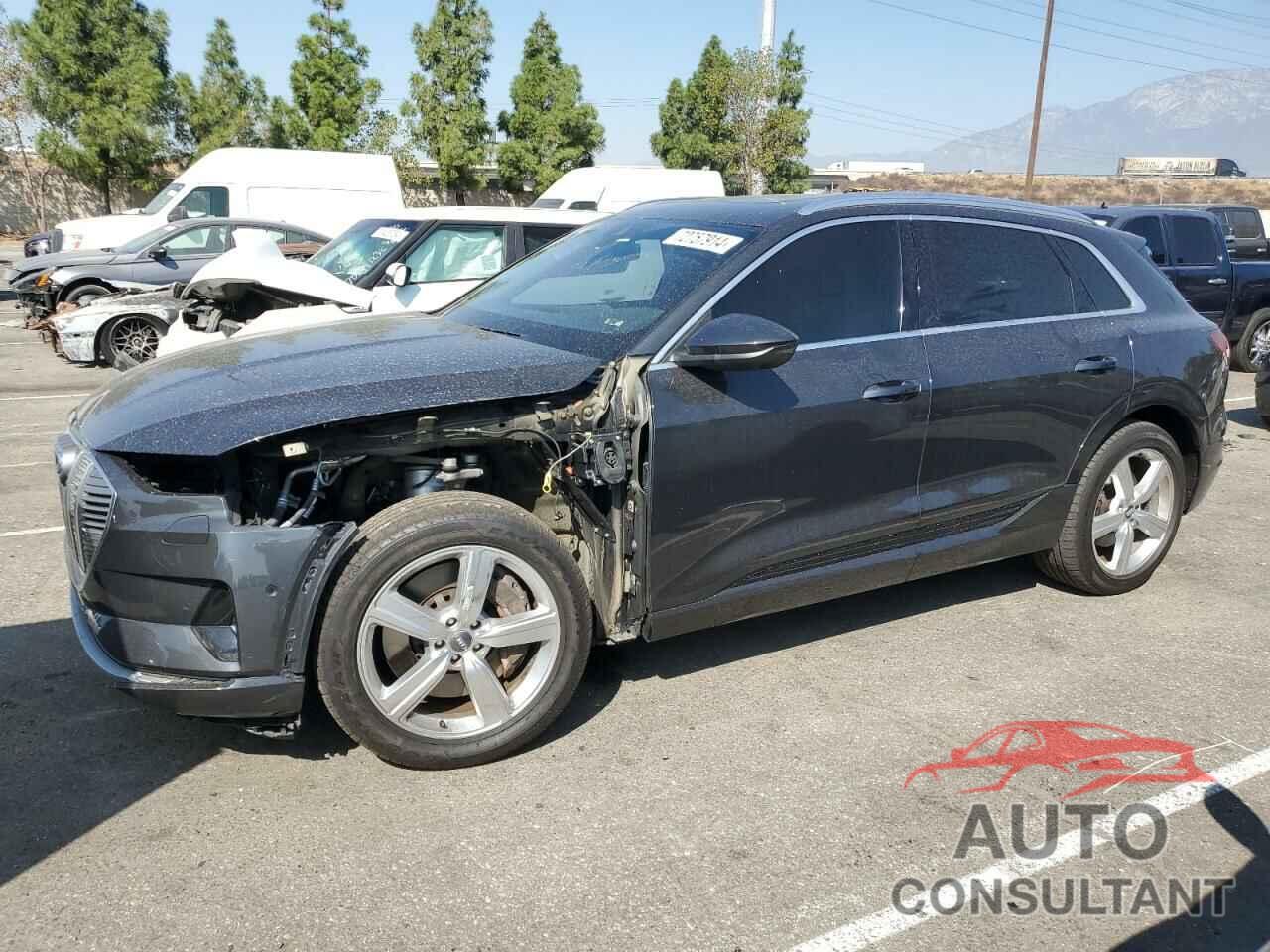 AUDI E-TRON 2019 - WA1LAAGE9KB021464