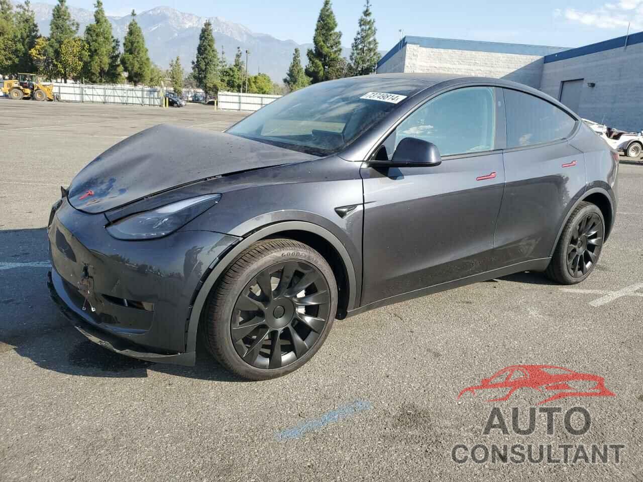 TESLA MODEL Y 2024 - 7SAYGDEE5RF082416