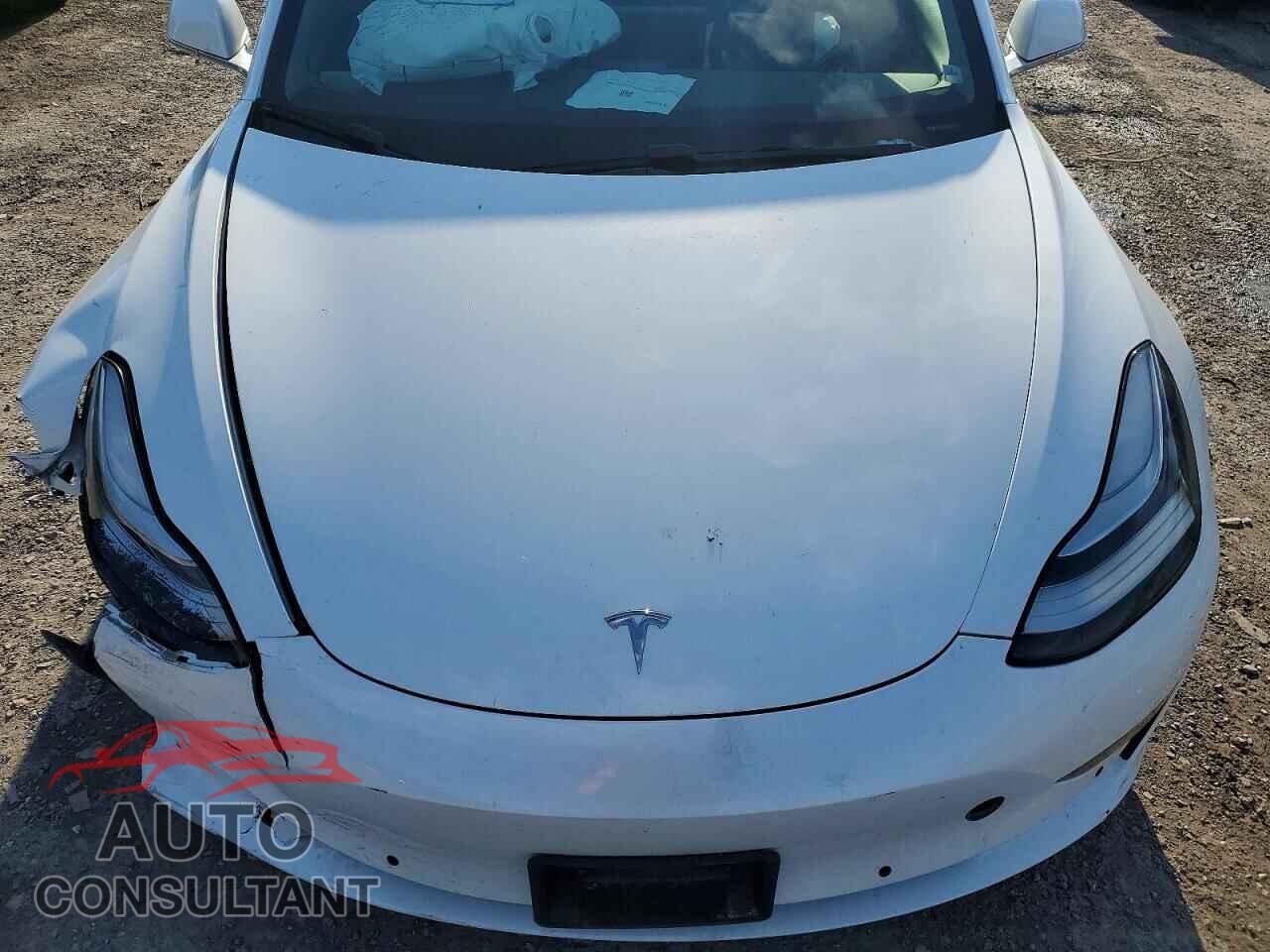 TESLA MODEL 3 2019 - 5YJ3E1EB2KF515715