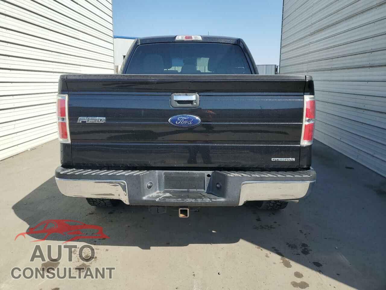 FORD F-150 2013 - 1FTEW1CM2DFB73305