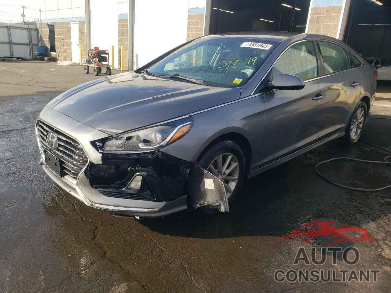 HYUNDAI SONATA 2019 - 5NPE24AF8KH790681