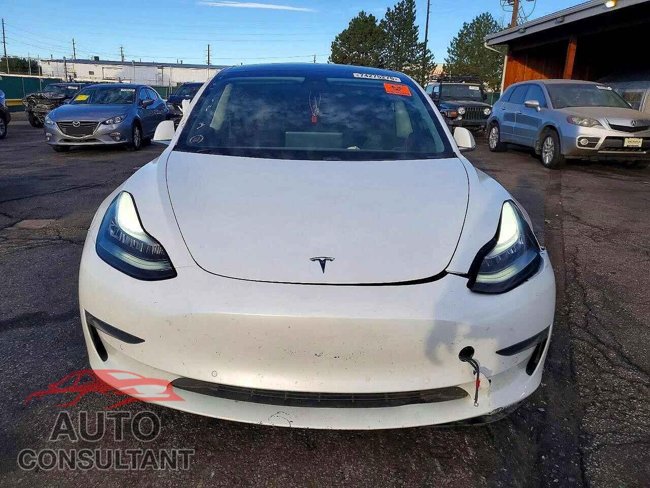 TESLA MODEL 3 2019 - 5YJ3E1EA3KF483770