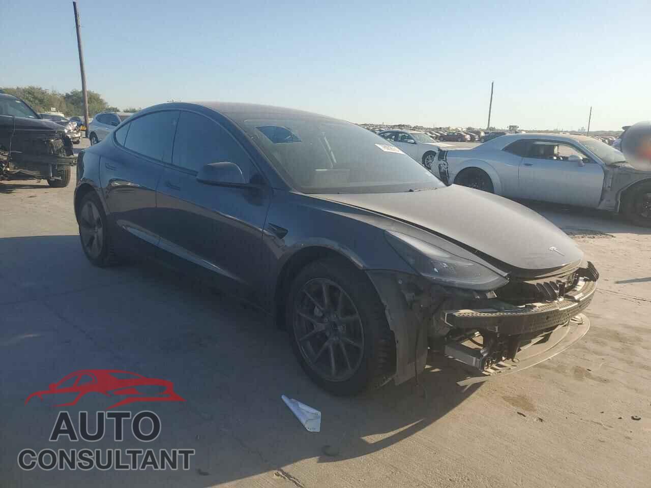 TESLA MODEL 3 2021 - 5YJ3E1EA0MF976700