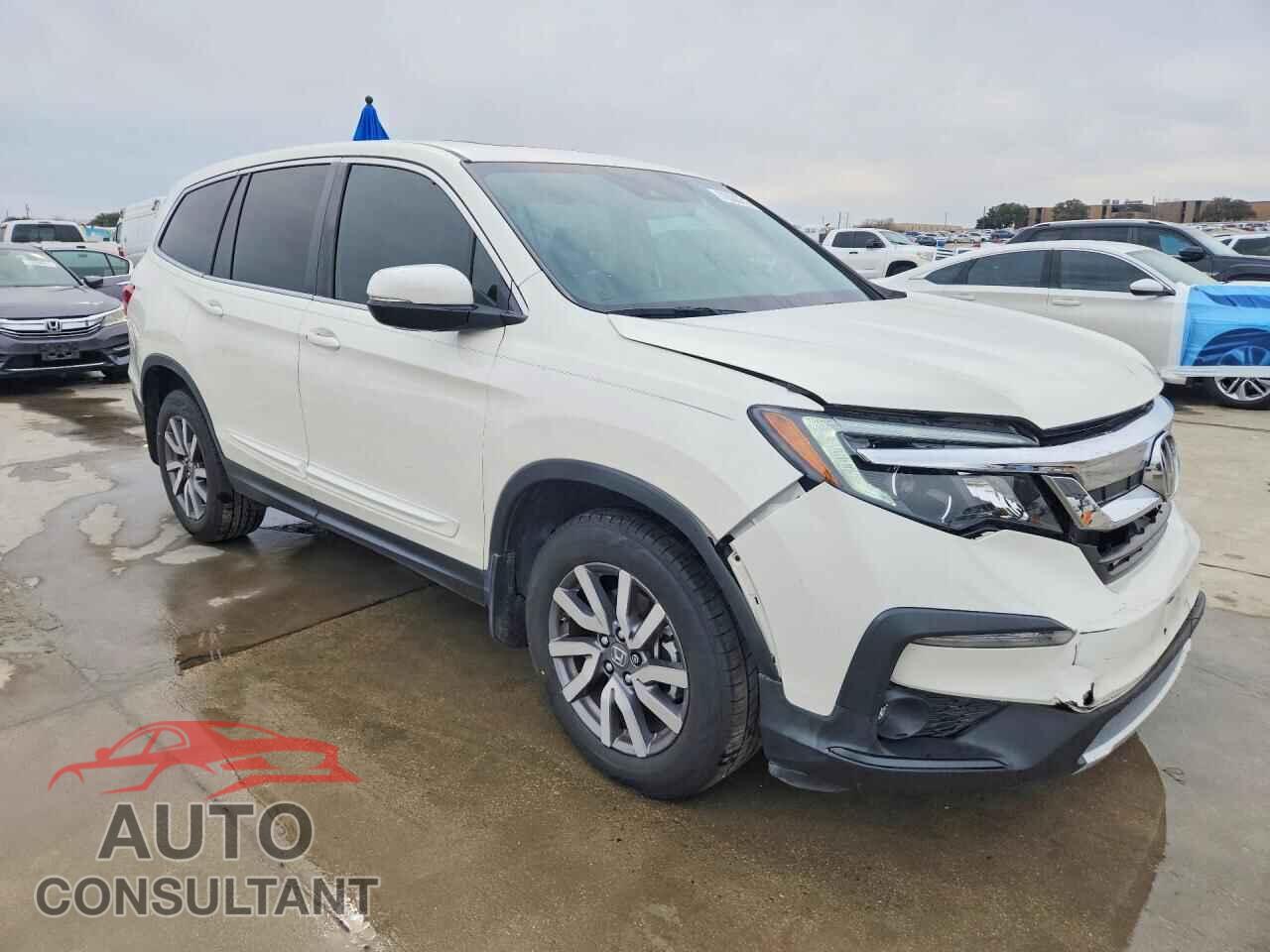 HONDA PILOT 2019 - 5FNYF5H56KB032471