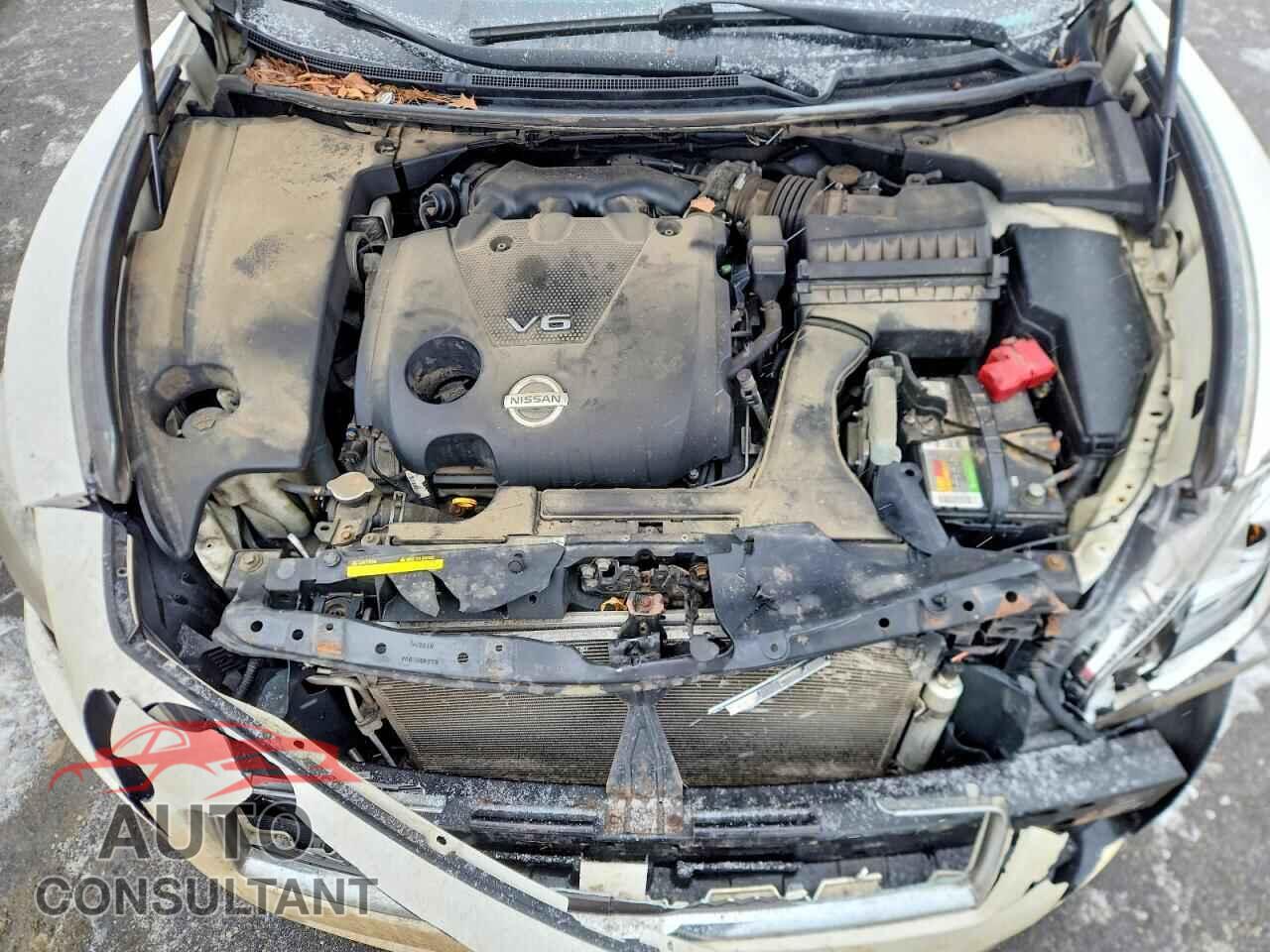 NISSAN MAXIMA 2009 - 1N4AA51EX9C846047