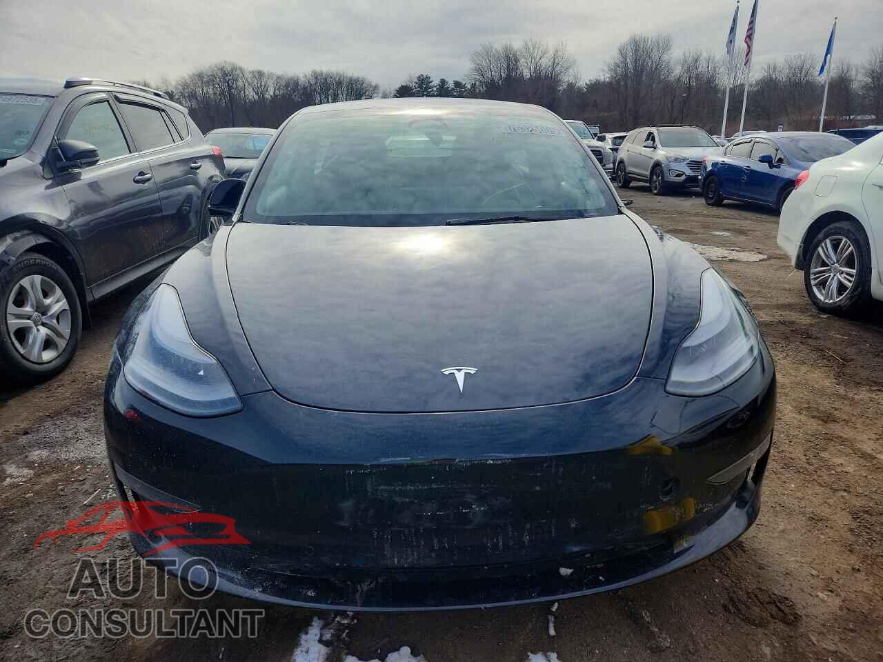 TESLA MODEL 3 2022 - 5YJ3E1EB3NF290564