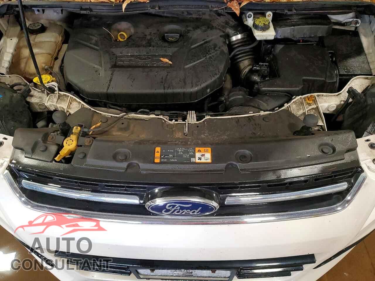 FORD ESCAPE 2013 - 1FMCU9H9XDUC42426